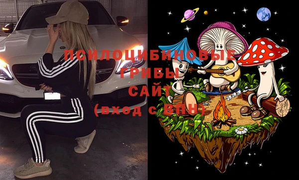 молекула духа Балабаново