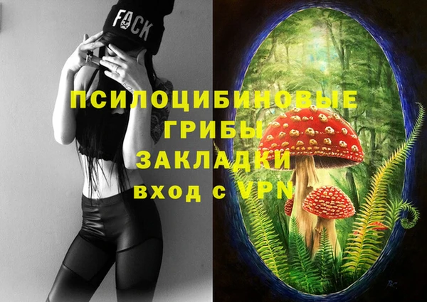 молекула духа Балабаново